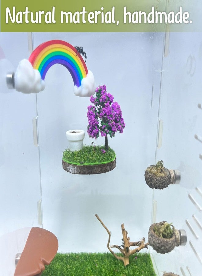 Daerky Jumping Spider Hidden Rainbow Bridge, Magnetic Jumping Spider Cloud Rainbow Platform, 3D Printed Spider Climbing Fence Accessories, Suitable for All Kinds of Small Insect Habitats (Small) - Image 3